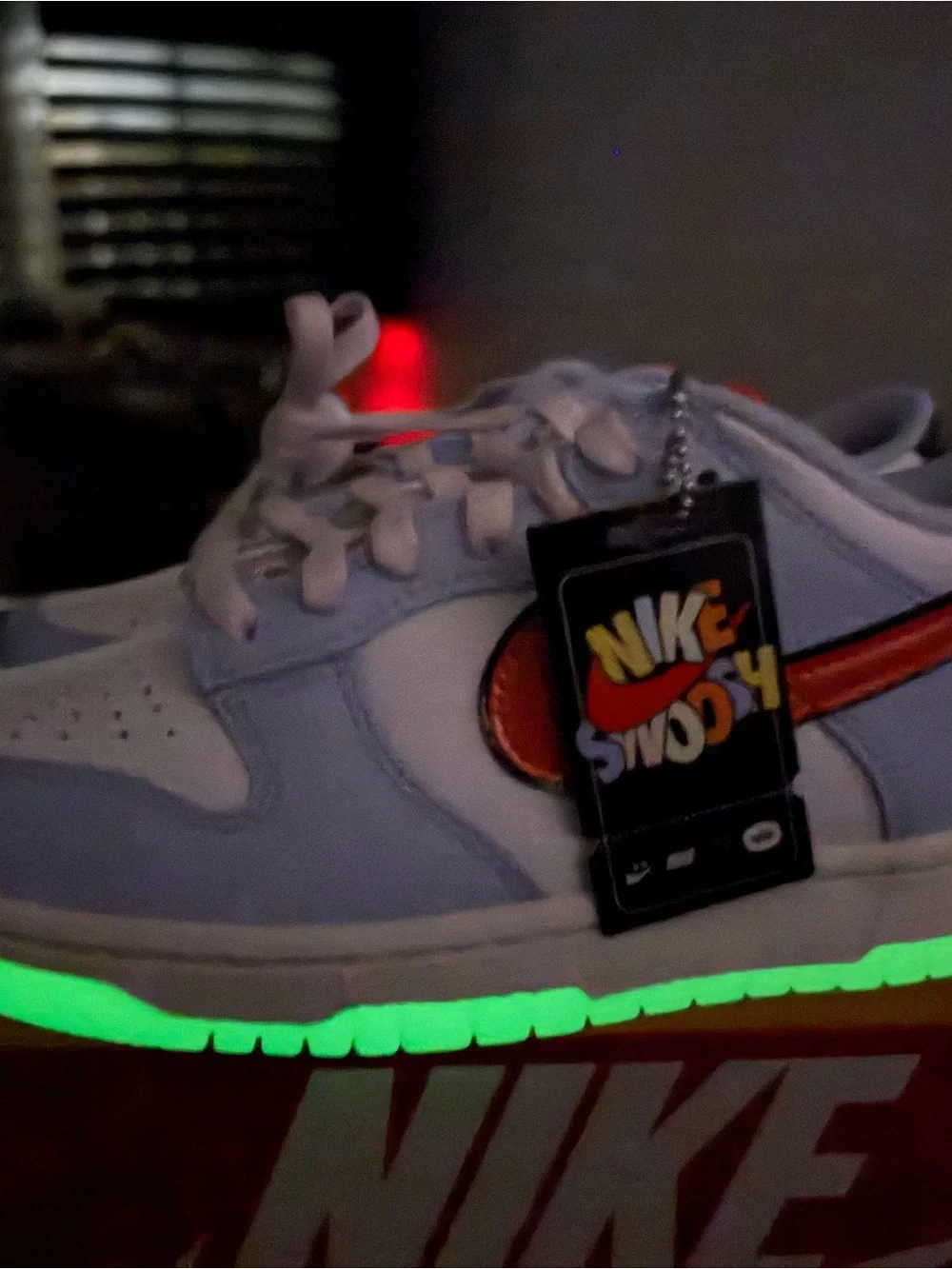Nike Dunk Low BG- Light Blue, White & Red Swoosh